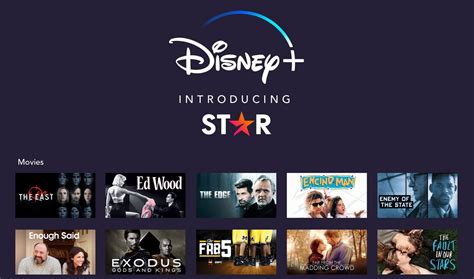 star on disney plus meaning.